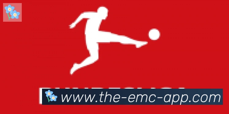 EMC易倍体育合作伙伴